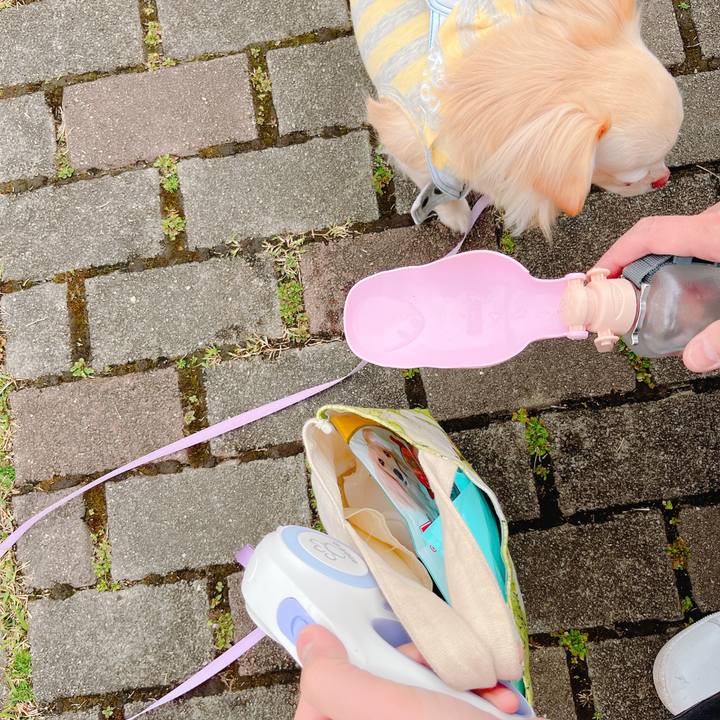 0ea58d1f 42bc 4503 add6 17b3a8c3398c 1647682146377