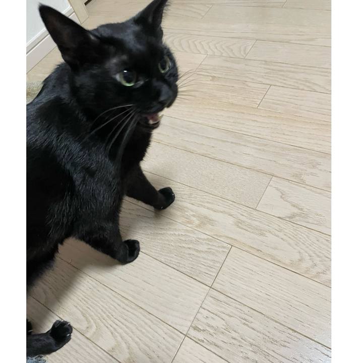 0ea5c9ca 14ce 4043 9a05 9fc5f09de223 1759234712927