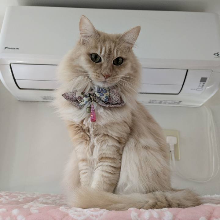 0ea5e76b 0cc9 4dff b8af f9b9ad5e008a 1770086842886