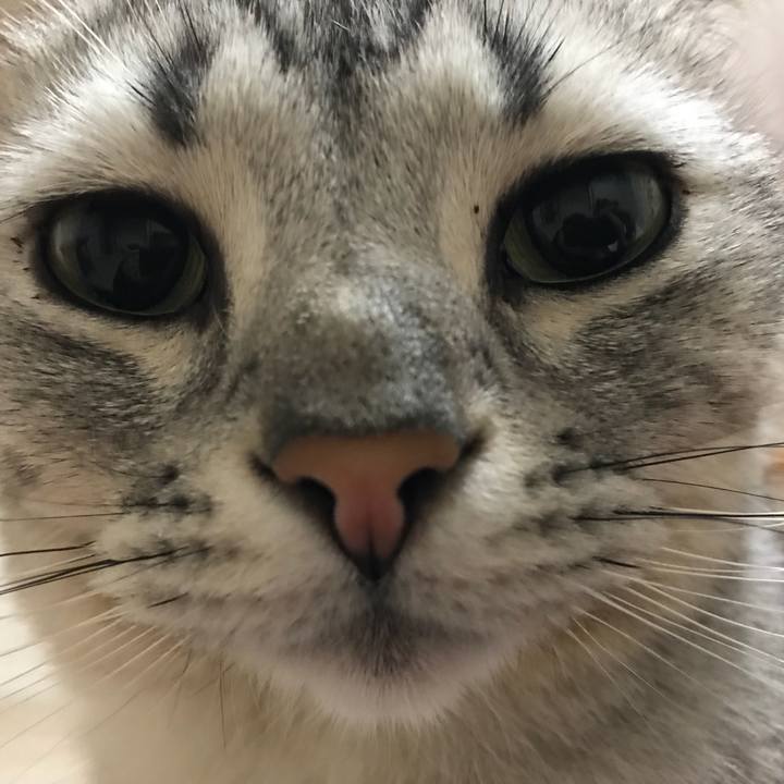 0ea5f5c3 dc33 4f68 9631 17747ceef732 1525647661858