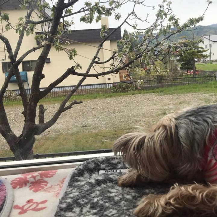 0ea63266 fddc 4d4f a4bd e832865918f4 1589621421208