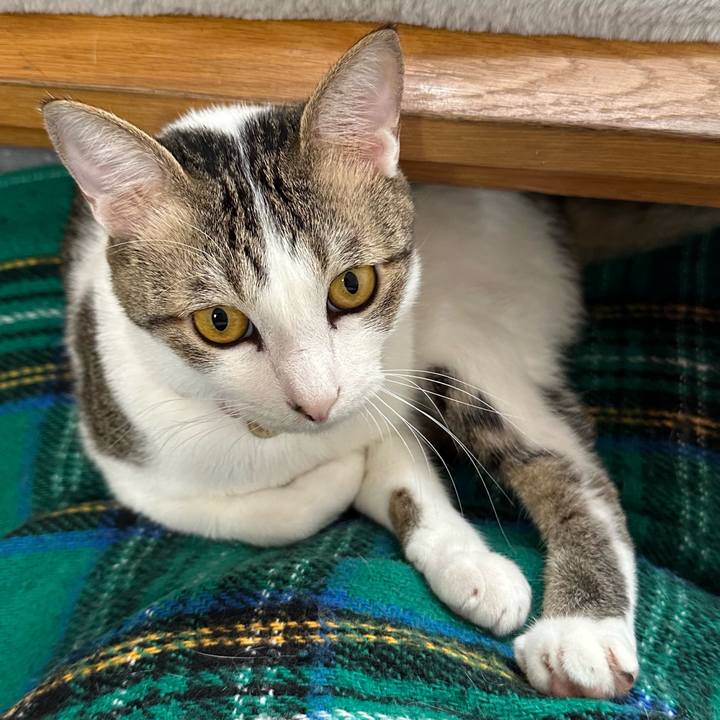 0ea6654c 4d17 428b 95f6 ae6c9078a094 1776253258708