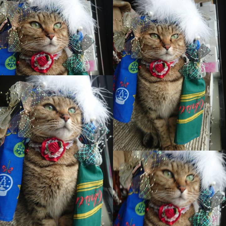 0ea674f8 0797 4d54 9086 501257155819 1770769531402