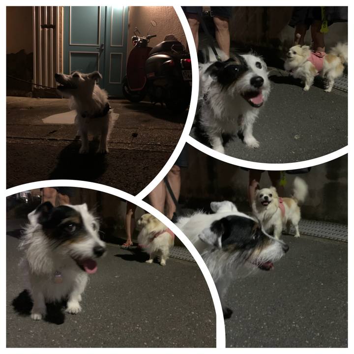 0ea676c6 b449 417c a38c a0ea2b6d1b3a 1656854471896