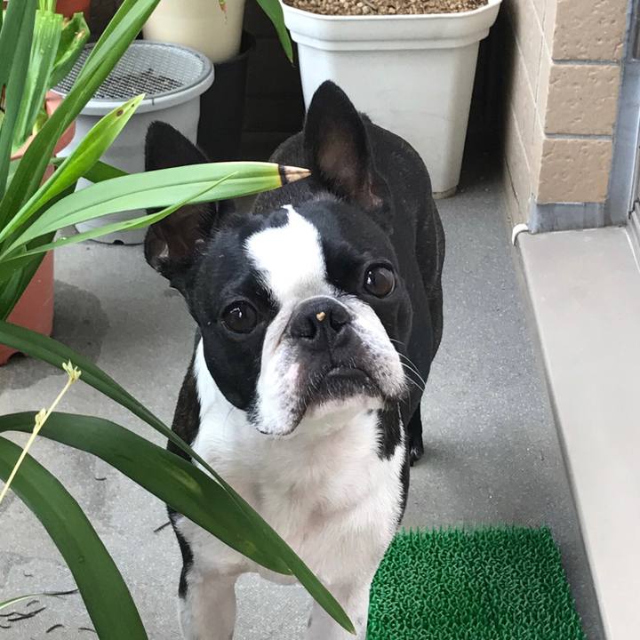 0ea72897 0ac8 46e3 82b4 b9fddd8a06b9 1658059702069