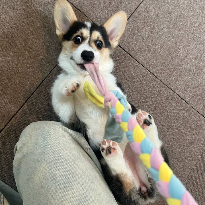 0ea73175 3607 4cd5 b520 5bb54779f93b 1772076264524