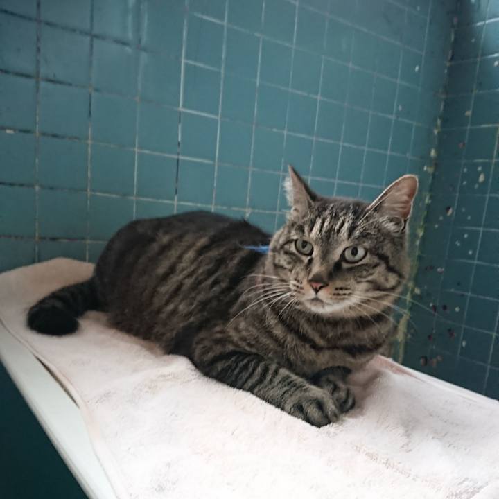 0ea789f1 05e2 45db 9935 b3a5571e7eba 1655632509221