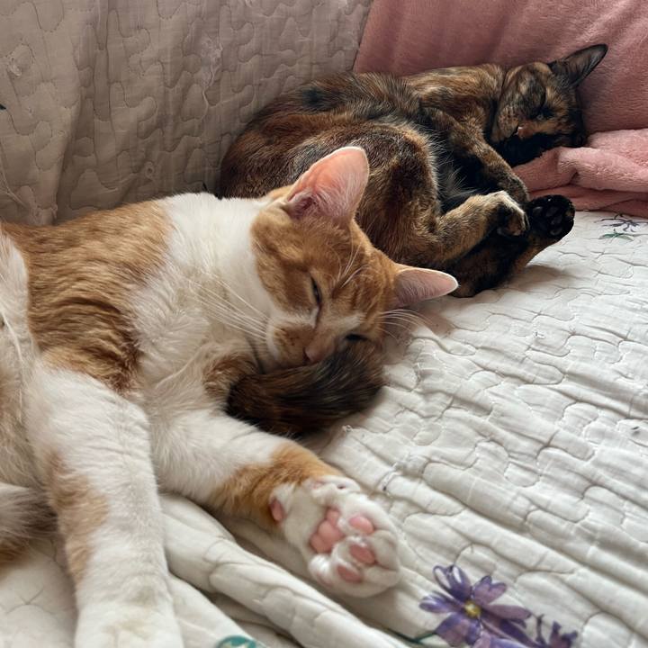 0ea7e2cc 54ca 4b3c a111 e11bba3e7af0 1675655978146