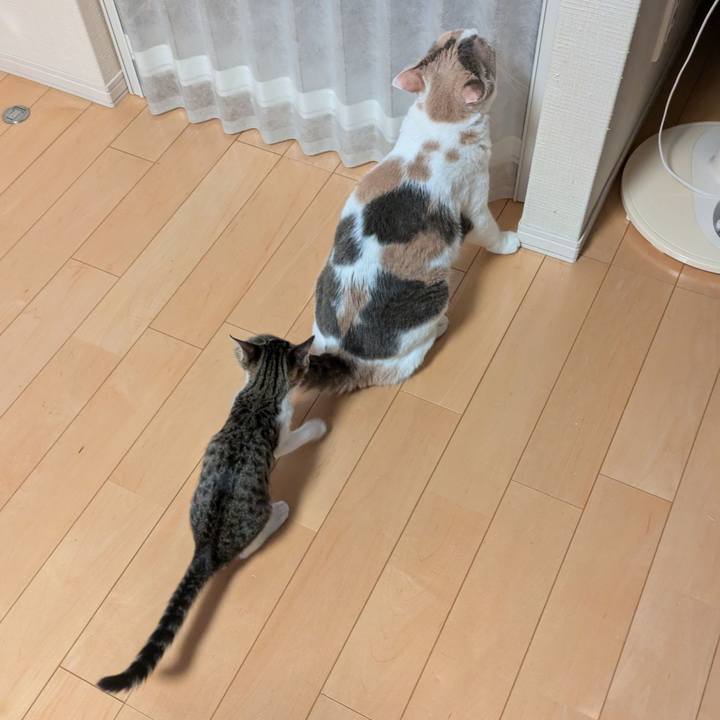 0ea7fc1c de7e 49c6 b0c6 5a57ec37f2f3 1721645068522