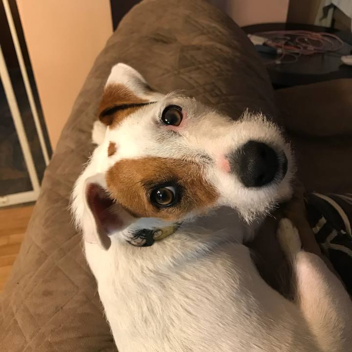 0ea8073b 6d29 43b6 bc12 68267e9101e6 1536321918259