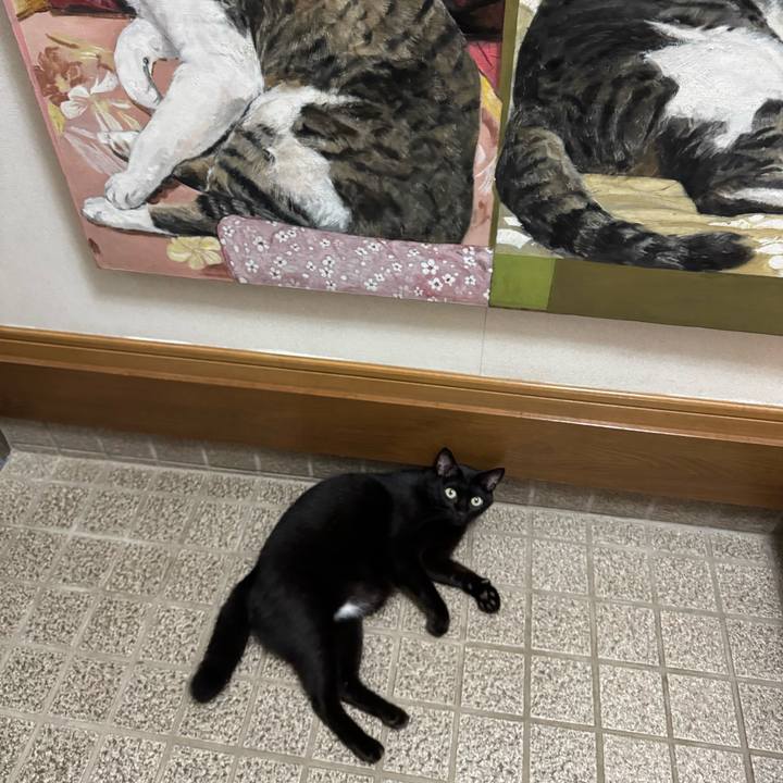 0ea83bb9 ef1a 4cc1 a8b9 775f574fe68b 1756381087351