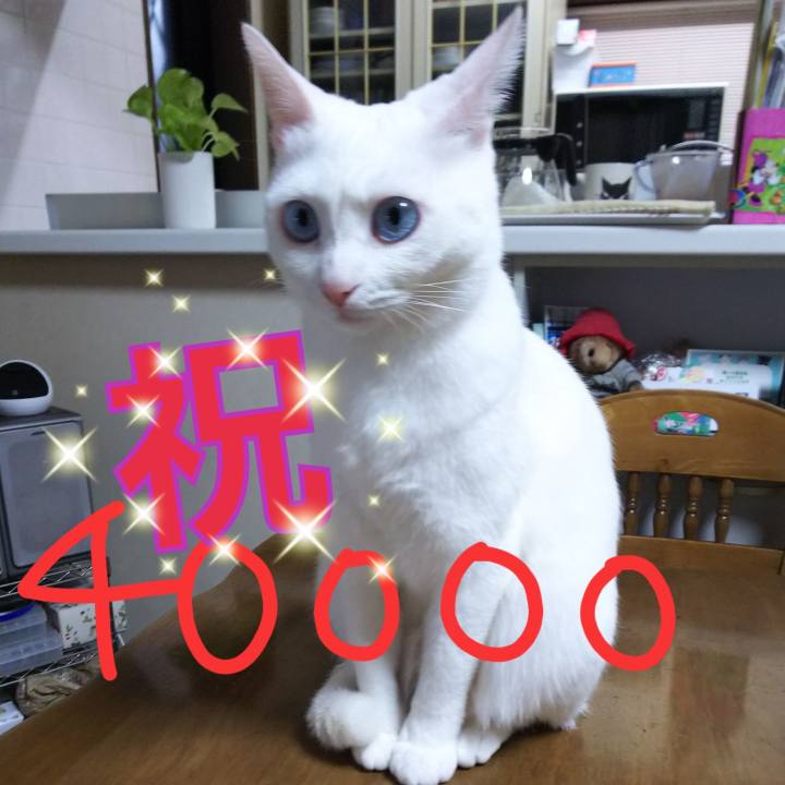 0ea840de 5ae6 45b0 b07c fadfc4543d69 1555591600601