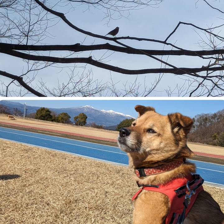 0ea85389 9163 4900 b8a2 b51097a39b3f 1709438693642