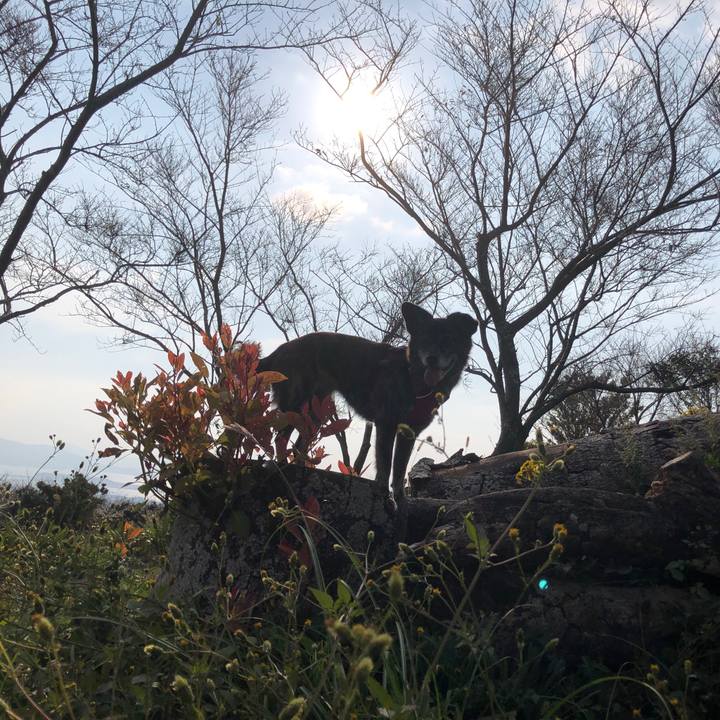 0ea87565 1780 4789 b56e b764a041e4b3 1640303601606