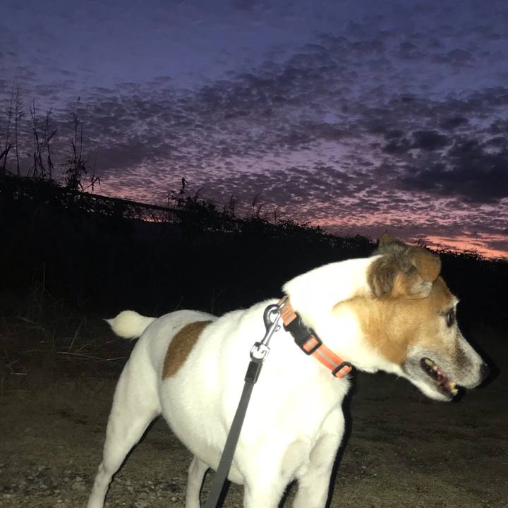 0ea89e71 af81 495f 9575 d86550cc5c74 1538994916469