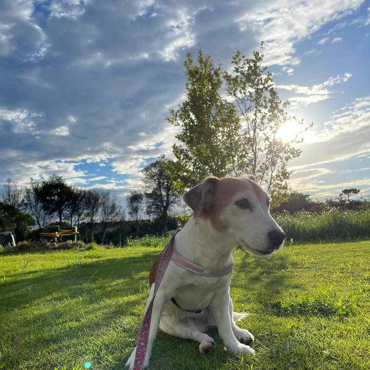 0ea8bd88 484d 458e ad85 48b11b28d7b3 1628637672621