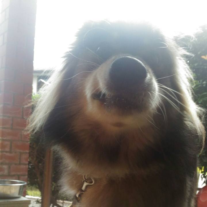 0ea8c6f5 c8d7 47a5 bb34 96cf323c70fa 1535711395537