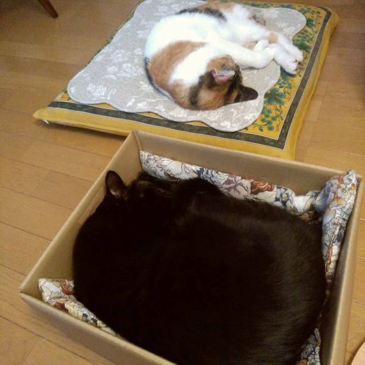 0ea8df6e 87dc 47e7 8c8c 66e7138e4070 1620024574150