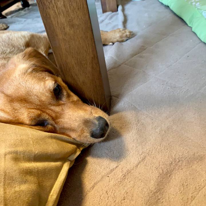 0ea8f9f4 a28d 42cd af5d a08057a765b5 1569631965589