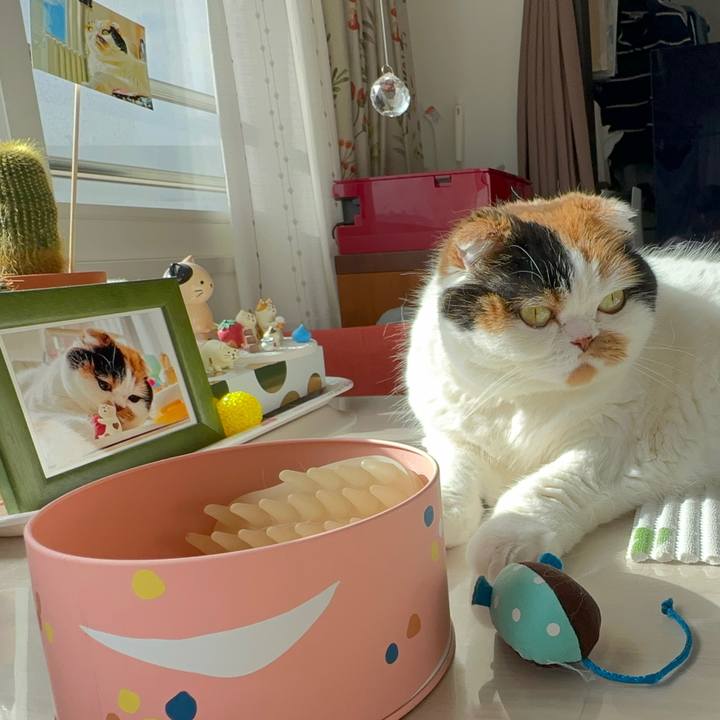 0ea983c3 3fbf 42cf b51e 880896c086b0 1681285730539