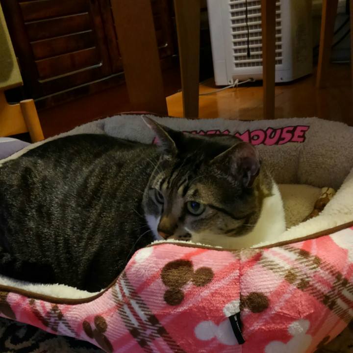 0ea9ab6e 6c96 49f3 a40c 63c33bcb46f8 1512200146490