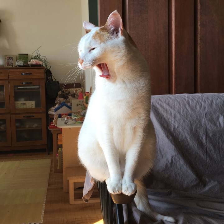 0ea9d172 5fde 45d0 80bc 39602b5303f1 1524439649247