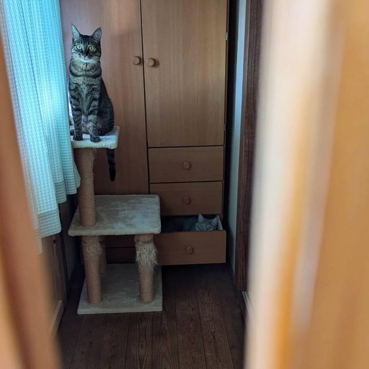 0ea9e2a8 5574 439f b586 ff015d40ba81 1725954300924