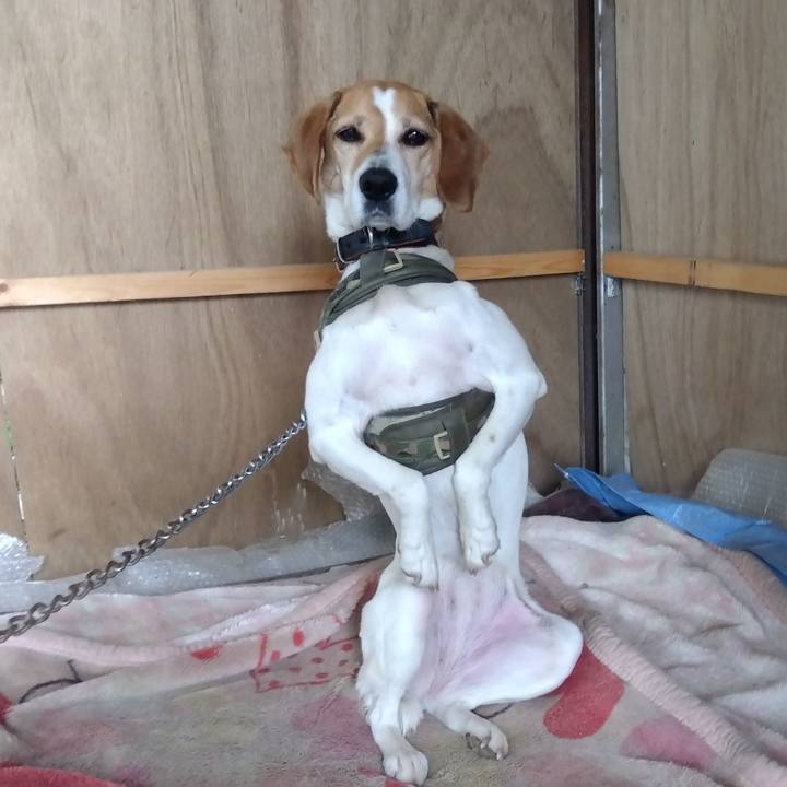 0eaa1a86 f06b 4e1b 95d2 0ac1496eff64 1686645401503