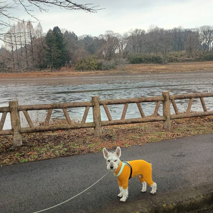 0eaa4234 7a20 4274 b1a6 a42a34c63b57 1766316690790