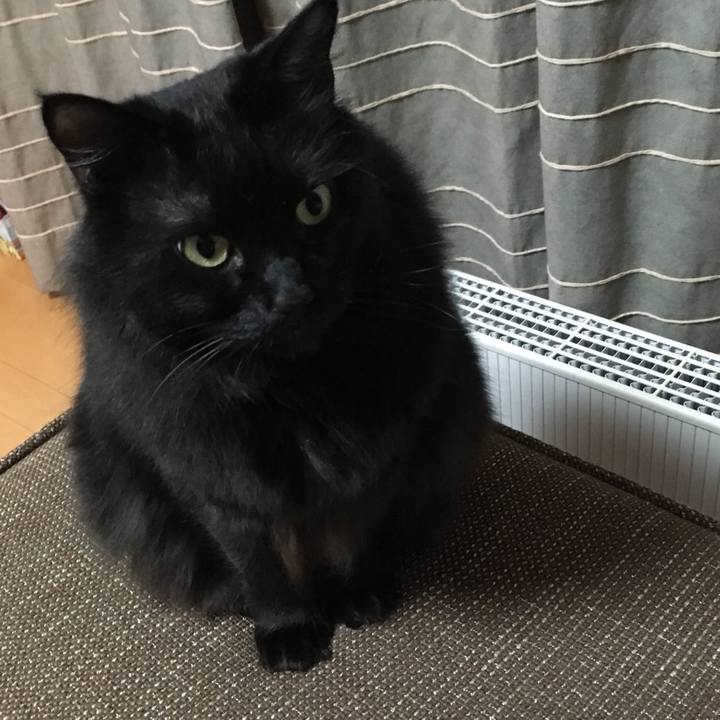 0eaa5b8f d12a 4d99 bff7 15e8c227a623 1515059780381