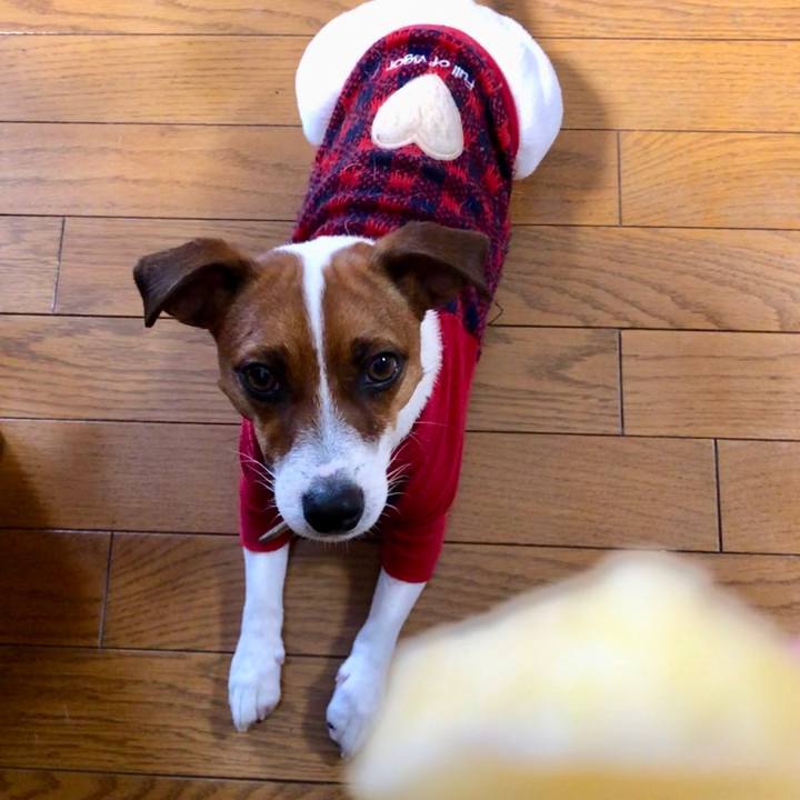 0eaa63a4 39d0 4caf ab6b 196a8ac444ef 1548285325140