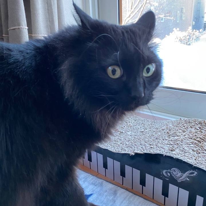 0eaa6fc9 27c4 4104 aa2f 47800110eb6b 1580963659955