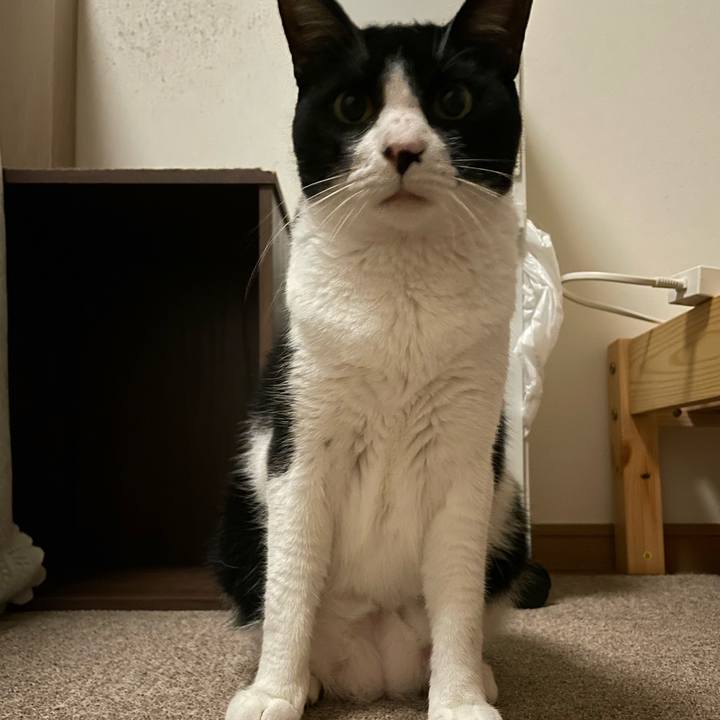 0eaac652 dde4 40b7 88f3 bd21255515e4 1722868183150