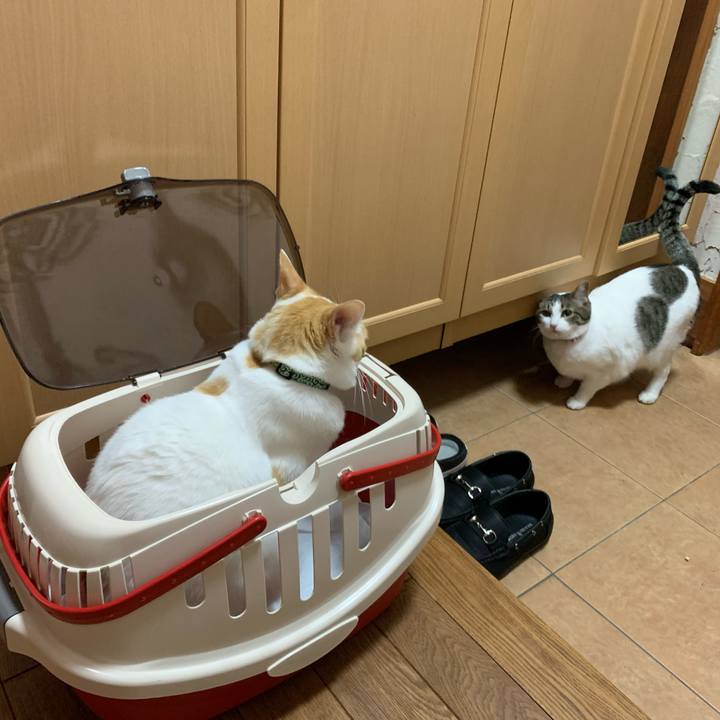 0eaad5e0 75c6 4805 8a9d 5c9e495d6ae1 1585736086779