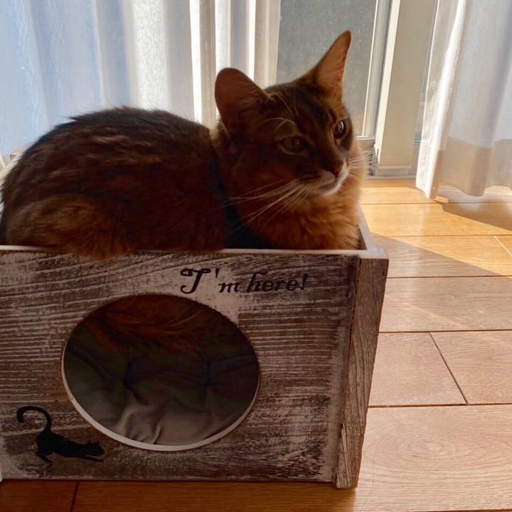 0eaadce7 eed7 4178 b7cb fd8f1440b5c9 1635733265584