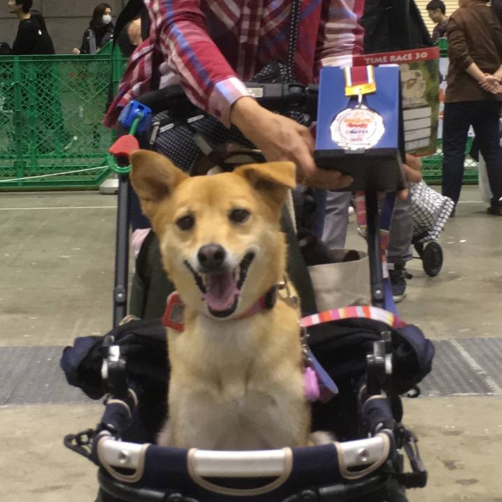 0eaae3c9 f0b8 4dcc 9eec 568ca2cf94ff 1554023027990