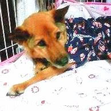 0eab0162 a522 4271 af1e 5fae101fded1 1660660356940