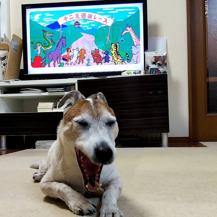 0eab2145 a0e7 4c93 846d ad2de0be964e 1546985235790