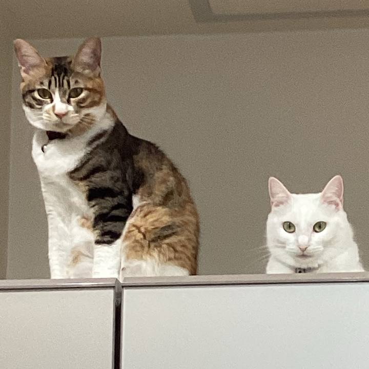 0eab236f 5e77 40af ba27 1cc4dc9197fd 1667689319482