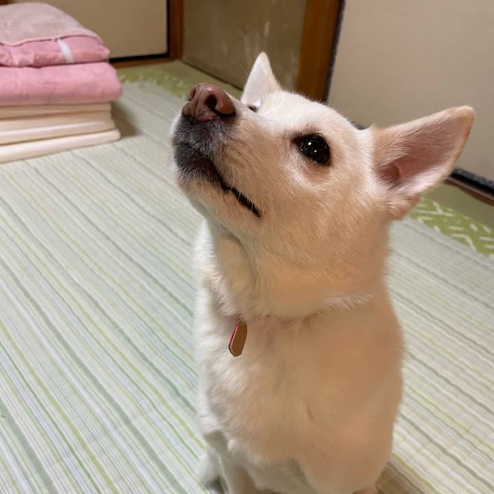 0eab23dc 41d3 4fbd a752 0d5ff14f319d 1611674217020