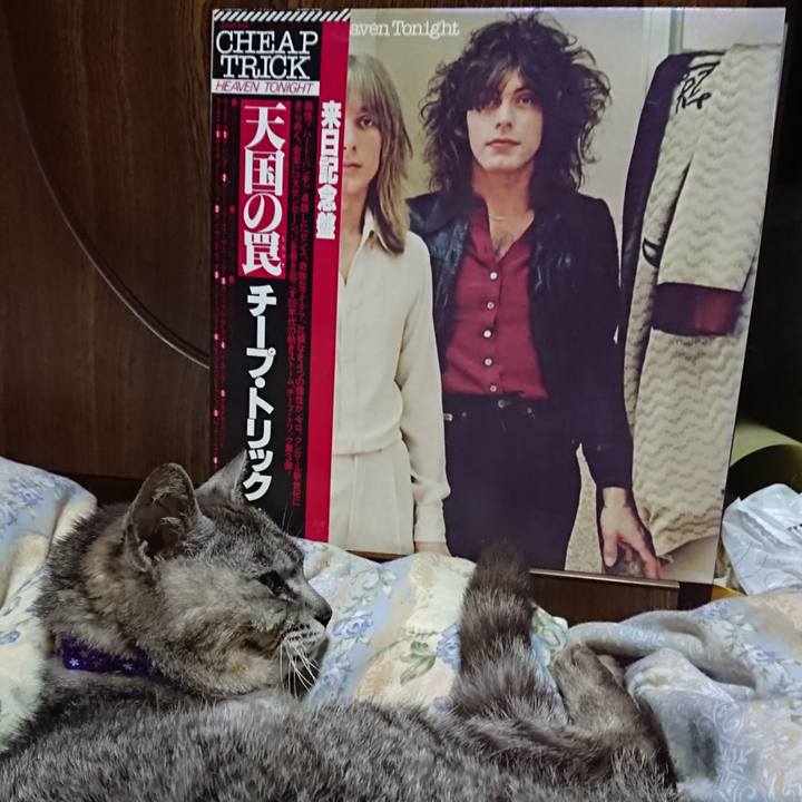 0eab248c 8974 4763 adba 4d00859d1f9a 1594037339536