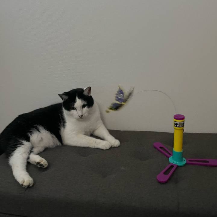 0eabcdba 36ce 4d3b a89c 517db5f23625 1672124467844