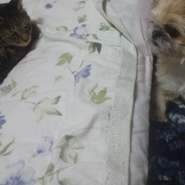 0eabd13c ecbc 4d18 bf74 281df2a611ea 1733065213314