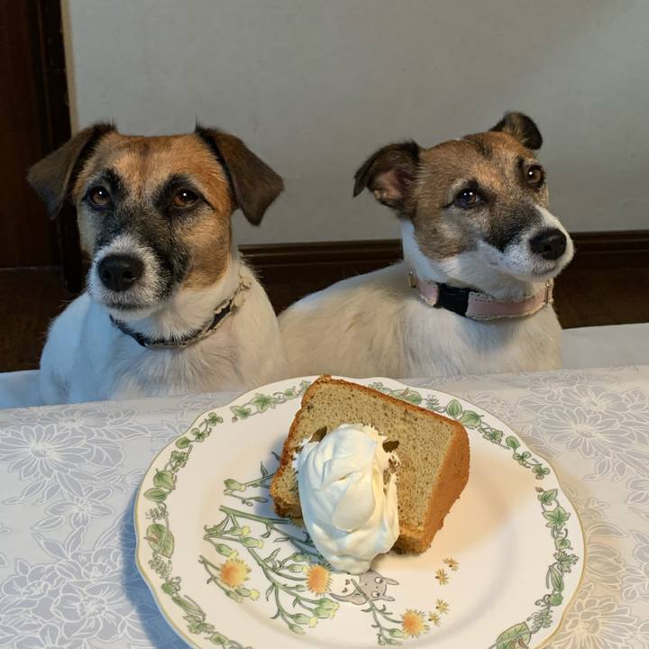 0eabd8e7 1061 494c 95cf ef2626e92a4c 1601726497499