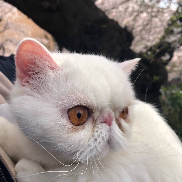 0eabe2a2 3d3c 4520 b58a 6fb98e98e7ed 1648966870578