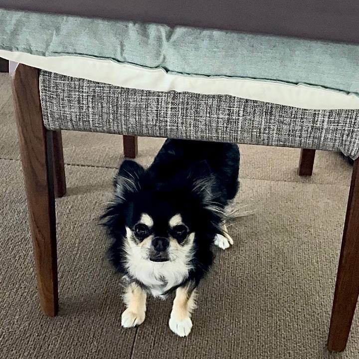 0eabefde 0494 47a0 ba92 1472df2d23e2 1691282091974