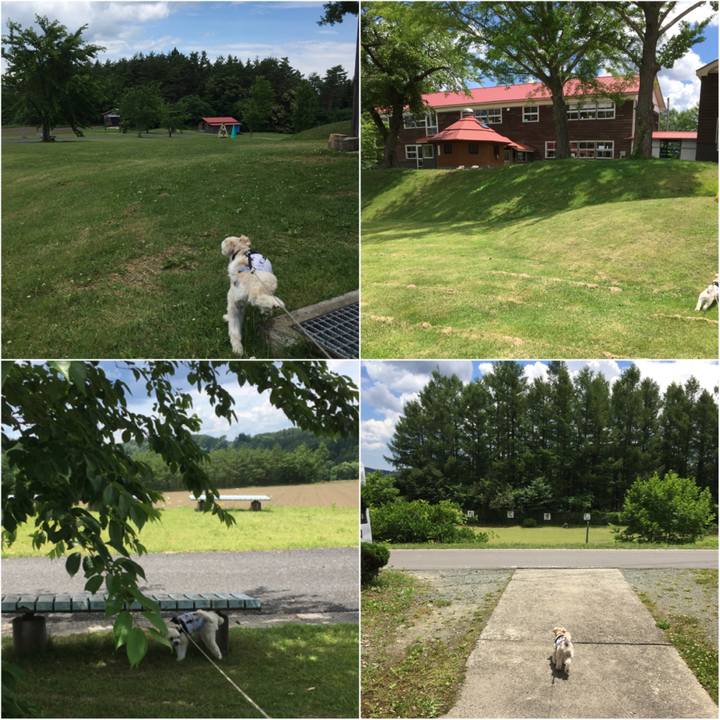 0eabf017 e8b0 4197 a78c f8fe923968e5 1530427814999