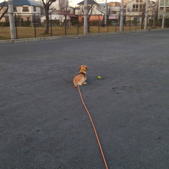 0eabf9f2 e021 43f3 a45b 49e33de6a34b 1515623121661