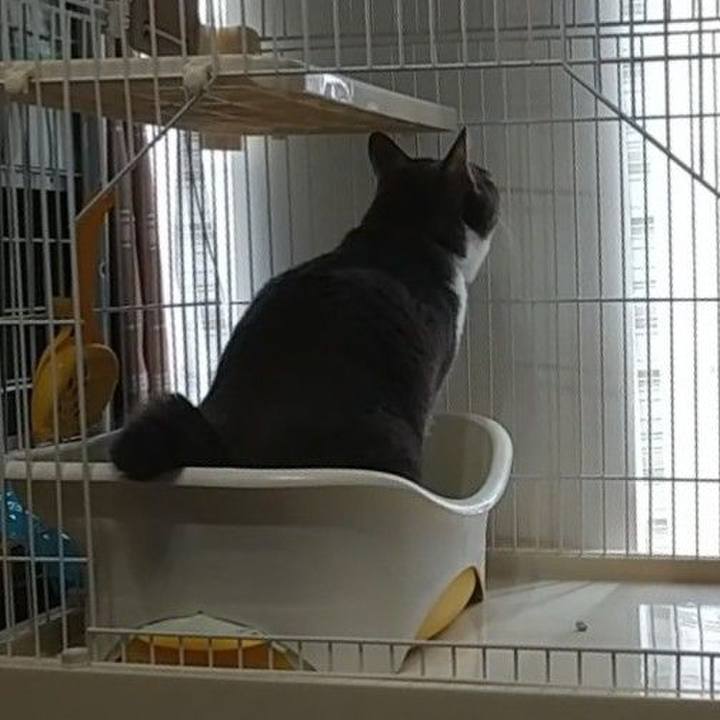 0eac1d0e 41f7 41ed 9cd8 dd3c9f4dd35a 1635644120354