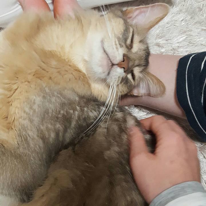 0eac4a0f 8a79 4bbb 83ac d069d4d1f639 1556192756887